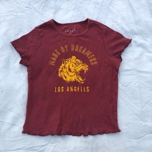 Burgundy and yellow crop top